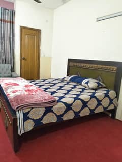 1bed