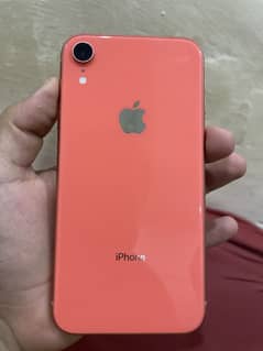 iPhone XR lush condition