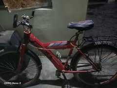 morgen cycle new model