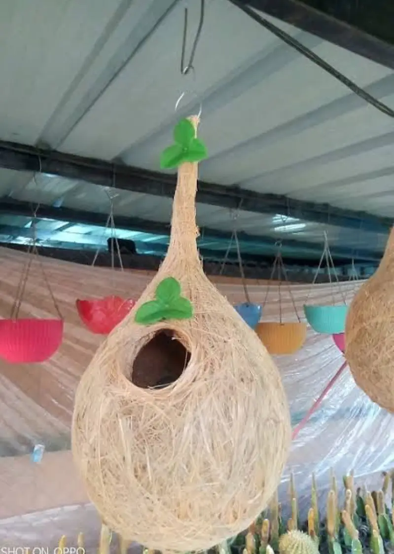 Bird Nest, Made with coconut, brand new, Gonsla