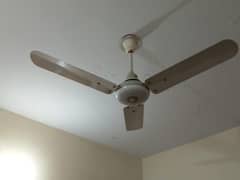 Lahore fan urgent sale