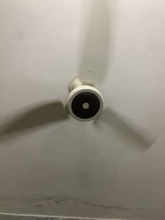GFC