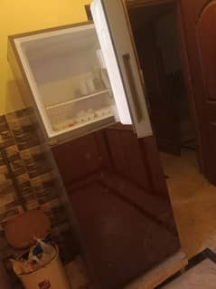 hair fridge invetar medium size 0320/9780/370