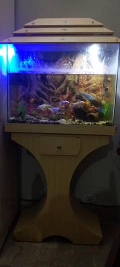 Aquarium 
