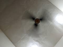ceiling
