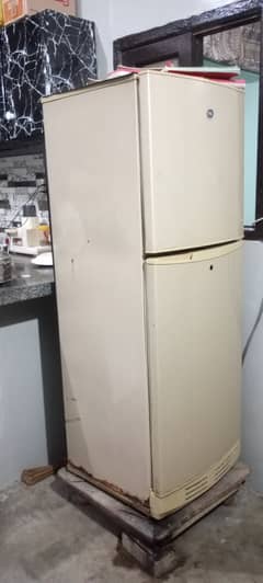 Pel