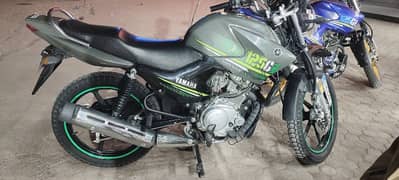 YAMAHA YBR 125G 2024 MODEL MATE GRAY