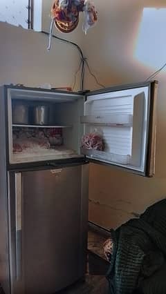 Dawlence fridge