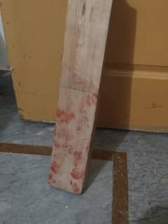 Hard ball bat