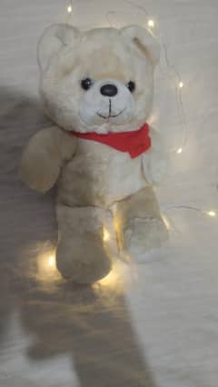 teddy bear