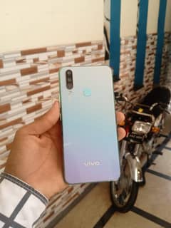 vivo