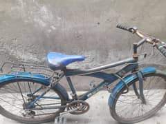 Gear