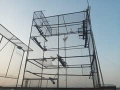 pigeon cage