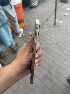 iPhone 13 Pro Max display line factory unlock 256 GB battery has 91%