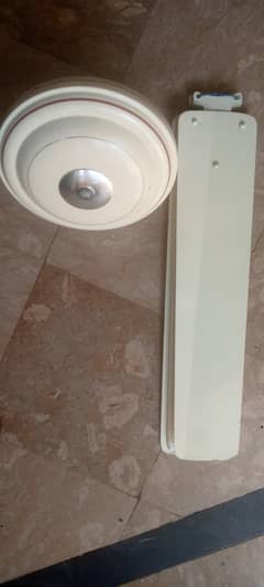 ceiling