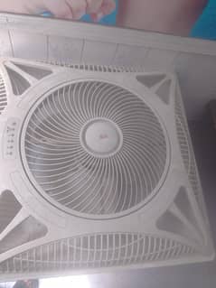 Gfc ceiling fan