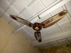 ceiling fan
