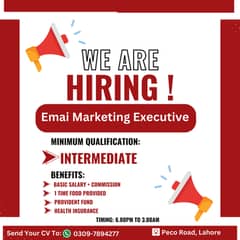 Email Marketing Executive