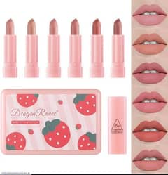 6 pcs matt finish lipstick colacktion in boold cool