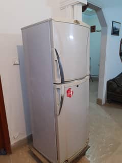 Fridge Medium Size