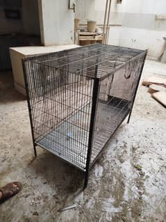 Hen
