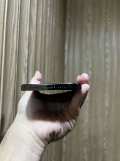 12 pro max dual approved