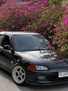 Honda Civic 1995 Dolphin Neptuned