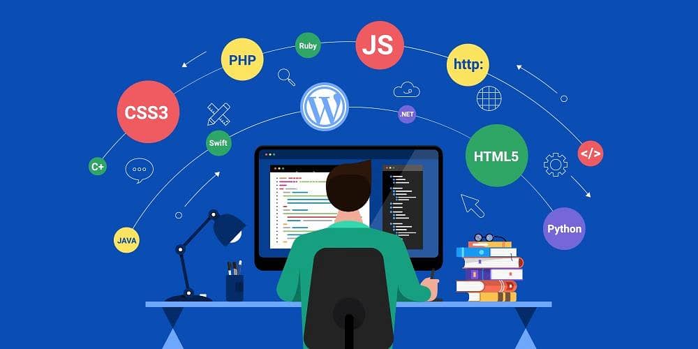 WordPress Developer Required 0