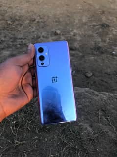 one plus 9 (12+256) 10 by 10