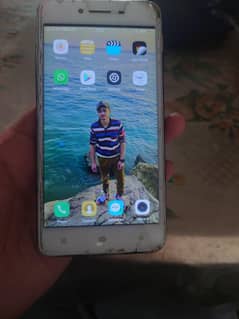 oppo