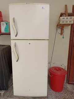 LG full size fridge