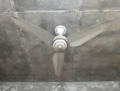 Ceiling