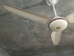 Ceiling Fan
