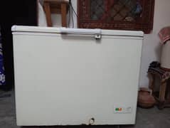 Haier
