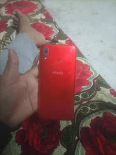 vivo