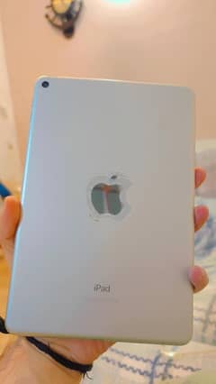 ipad mini 5