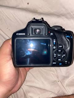 CANON 2000D AUTO FOCUSED AND WIFI USED