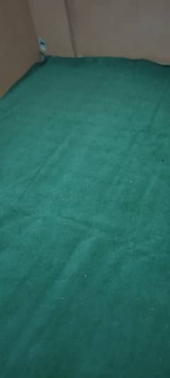 carpet