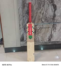 Brand new hard Grey nicolls bat