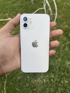 iPhone 12 jv 64GB