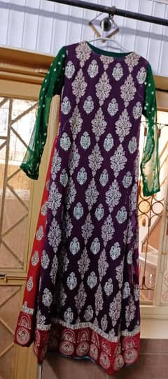 anghrakha panel maxi