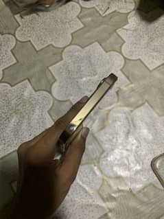 iPhone 12 pro max pta approve