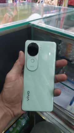 VIVO