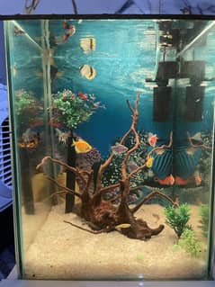 Aquarium