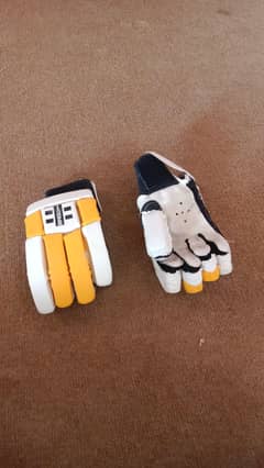 cricket kit one month used 20%off for first person
