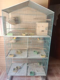 parrot cage