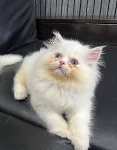 Pure