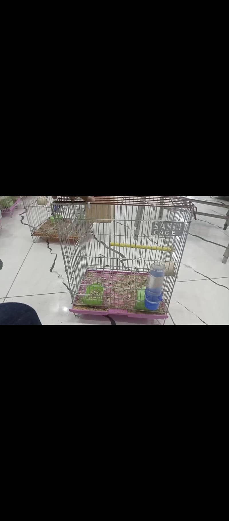 java and finch cage available with box option 0