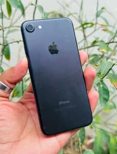 iPhone 7