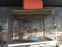 Bird cage for sale
